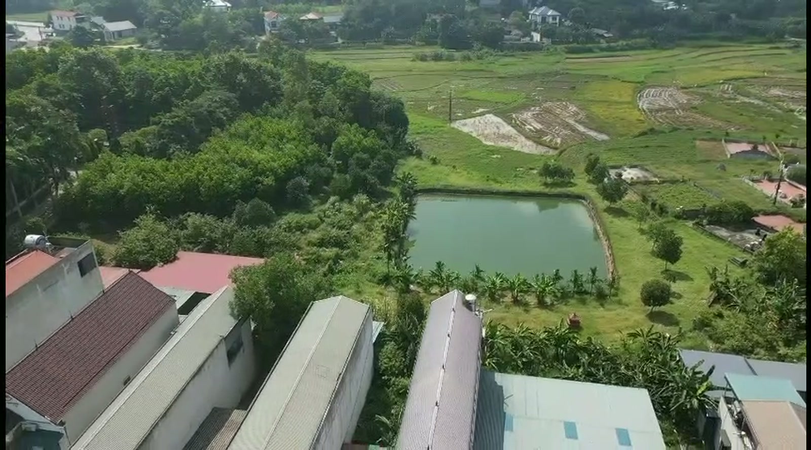 Nhà mới xây xen giữa ruộng ở Phú Thọ. Nguồn cung thật nằm ở những chỗ như thế này, không nằm trong báo cáo.