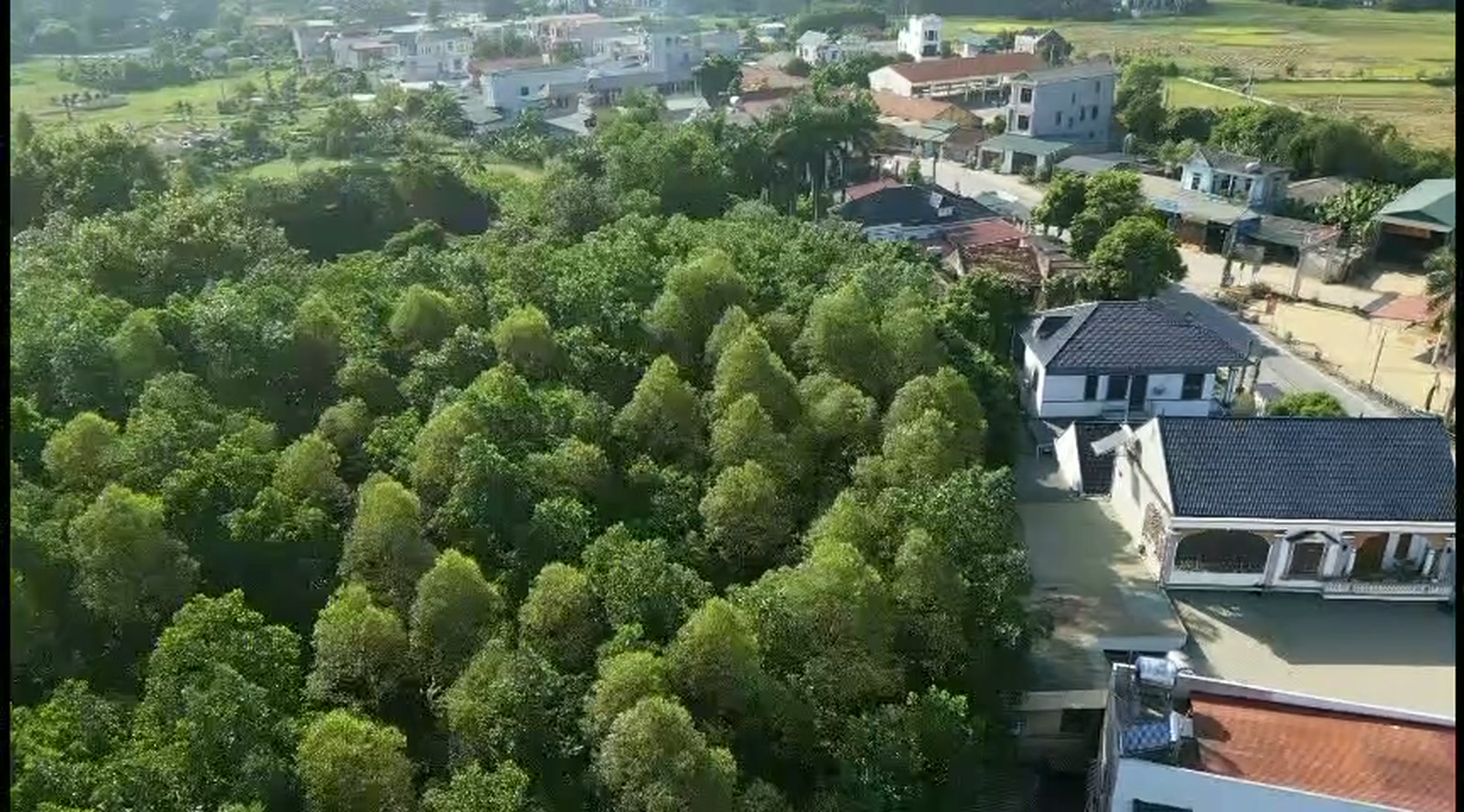 Khu dân cư ven sông ở Phú Thọ. Hạ tầng đổi thì vùng đất quanh nó đổi theo — nhưng không phải chỗ nào cũng đổi như nhau.